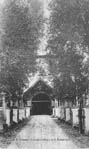 Аллея к Успенскому собору в начале 20 века